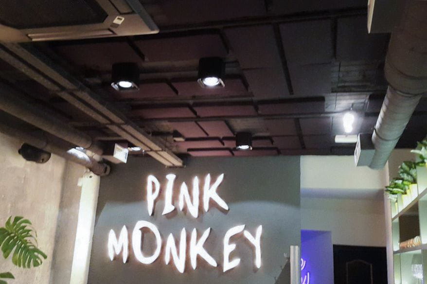 isinac-ponteareas-basotec-pink-monkey-2