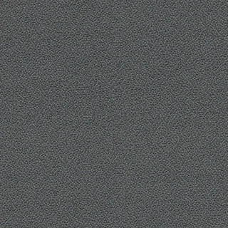 LC081 170