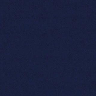 IZ09