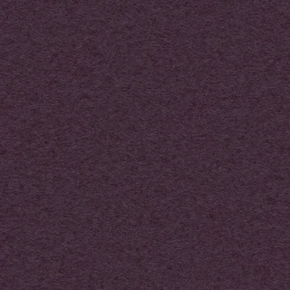 IZ2T