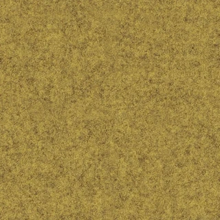 IZ58